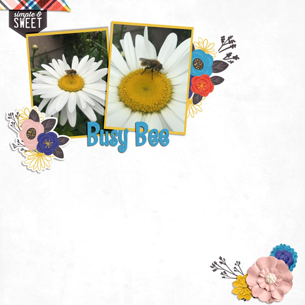 Busy Bee