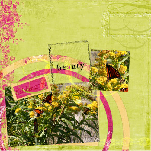 Butterflies