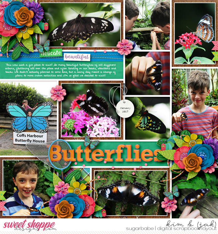Butterflies