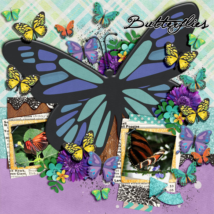 Butterflies