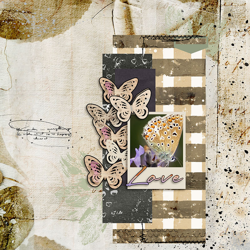 Butterflies