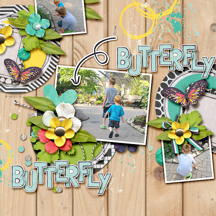 Butterfly Butterfly