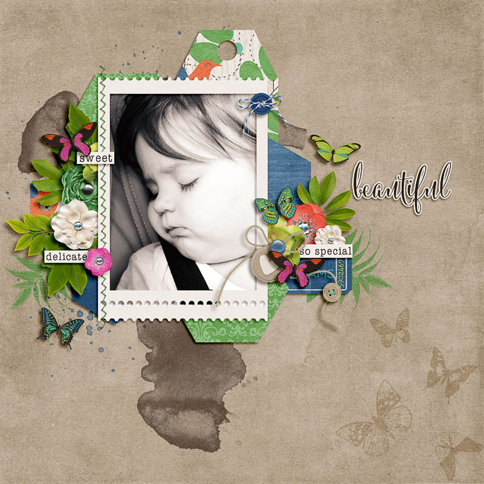 Butterfly Dreaming