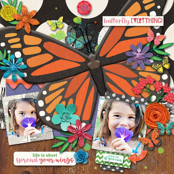Butterfly Everything