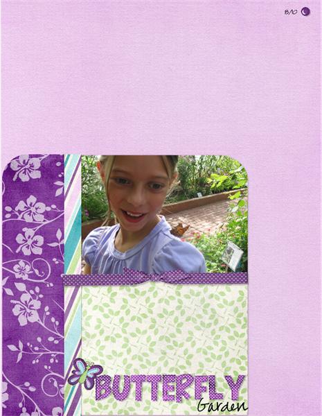 Butterfly Garden