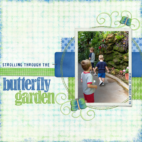 Butterfly Garden