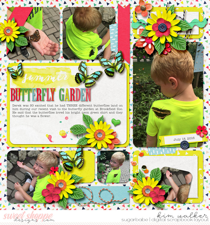 Butterfly Garden