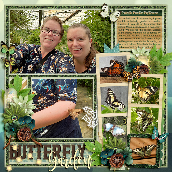 Butterfly Garden