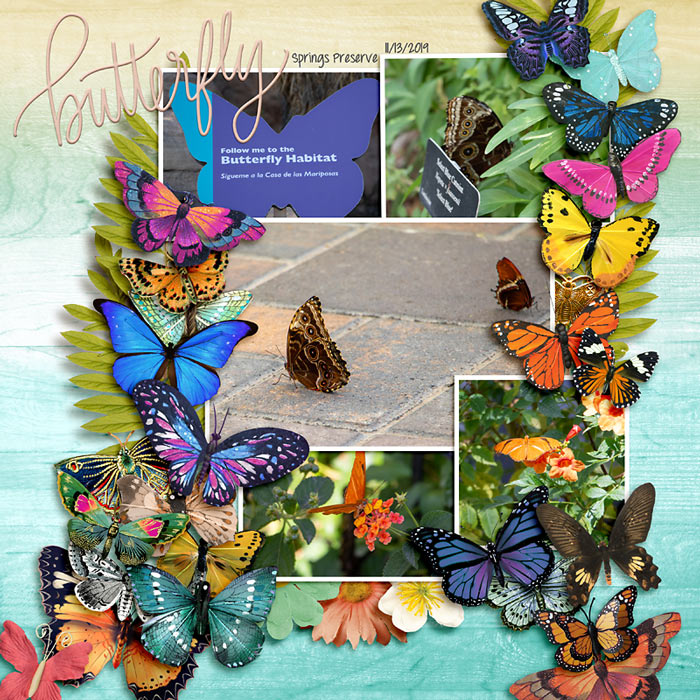Butterfly Habitat