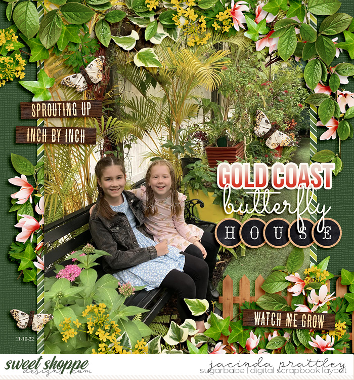 Butterfly House