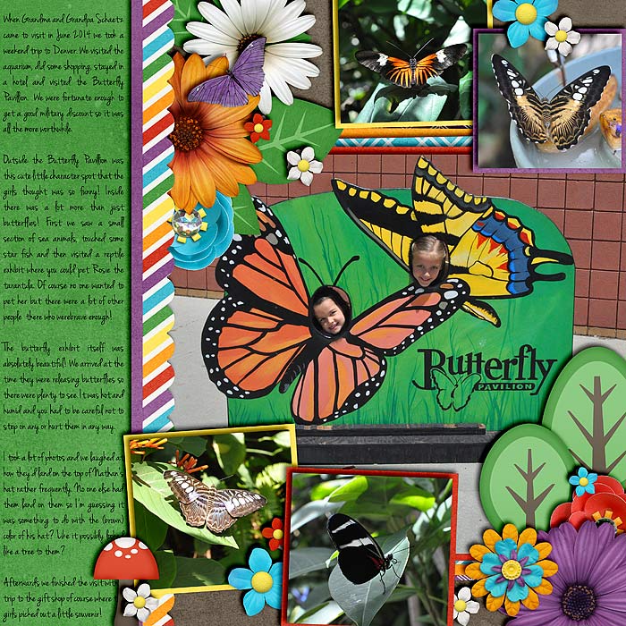 Butterfly Pavilion