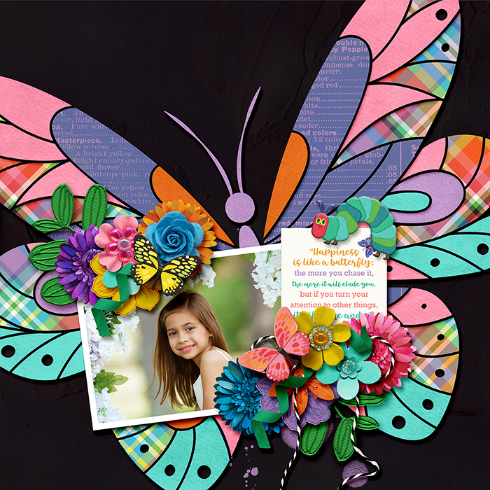 Butterfly Season