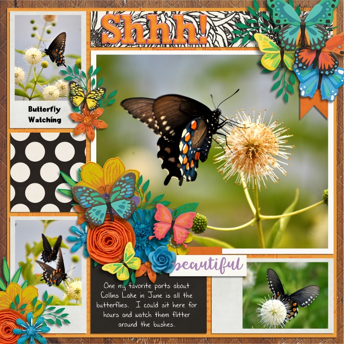 Butterfly Watching - Shhh