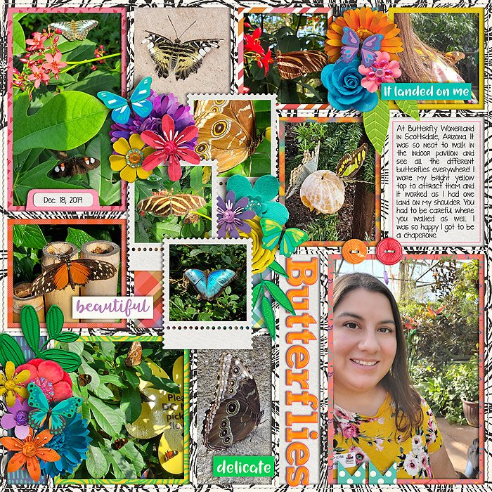 Butterfly Wonderland