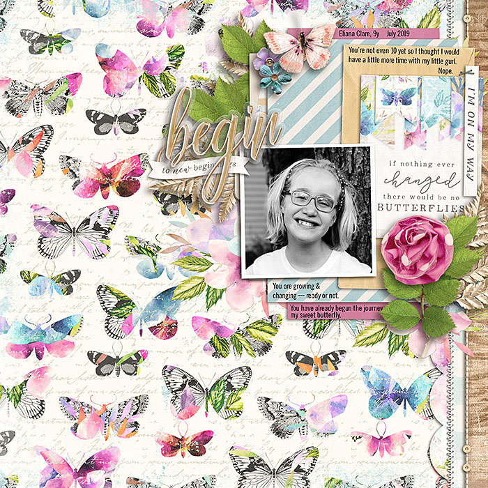 Butterfly