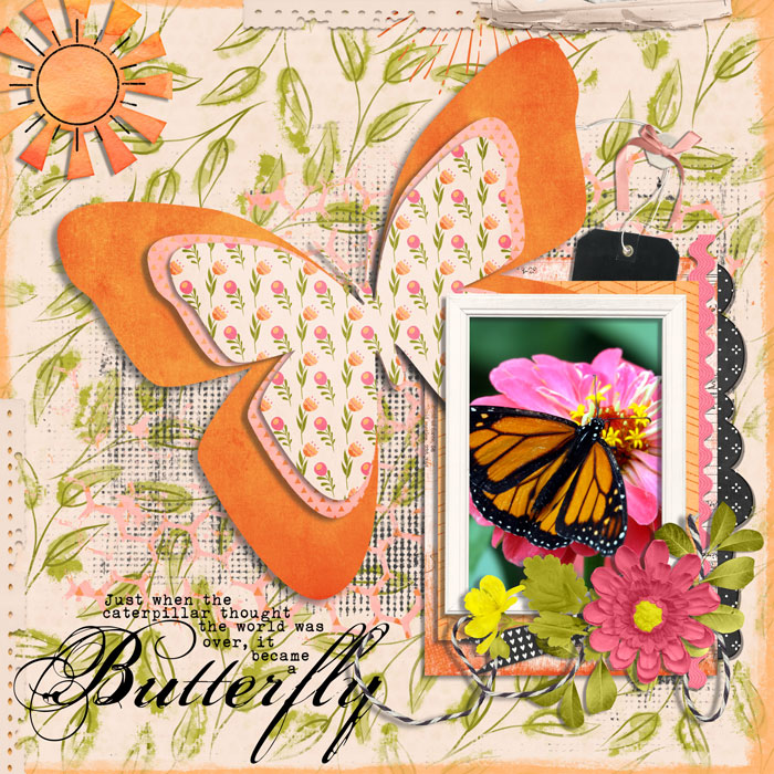 butterfly
