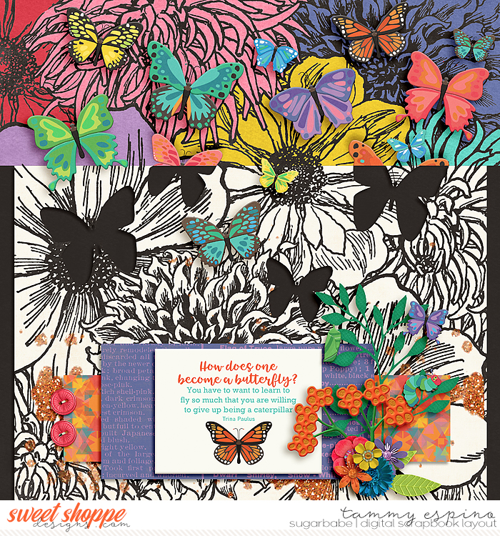 butterfly