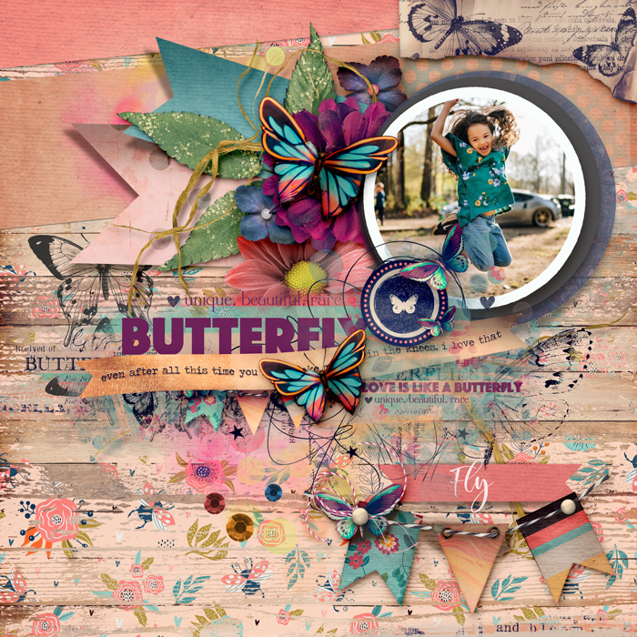 Butterfly