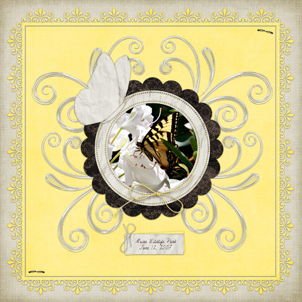 Butterfly!