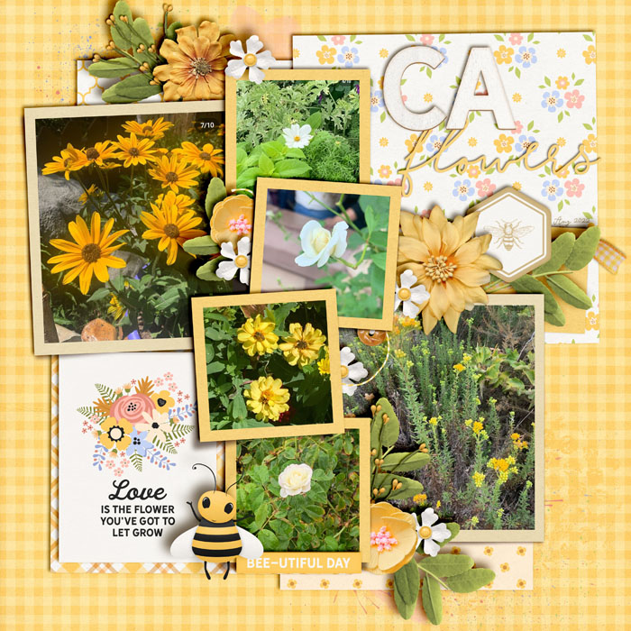 CA Flowers