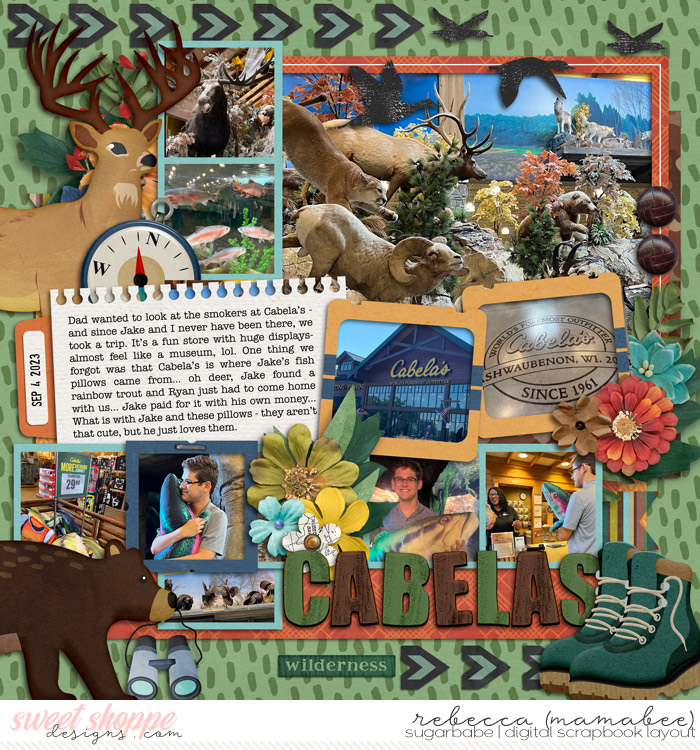 Cabela's