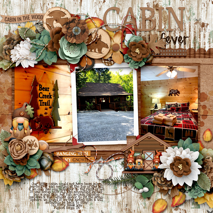 Cabin Fever
