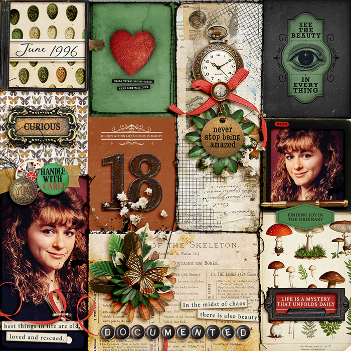 CABINET OF CURIOSITIES