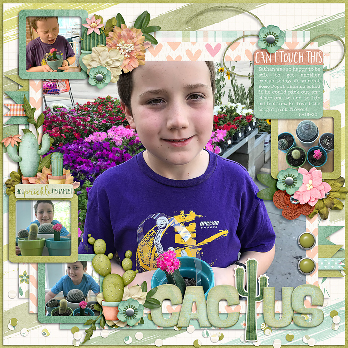 Cactus