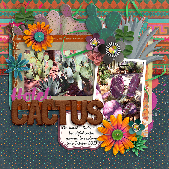 Cactus