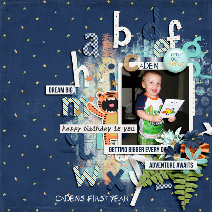 Caden's First Year 2011