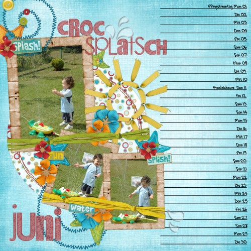 Calendar 2009 June