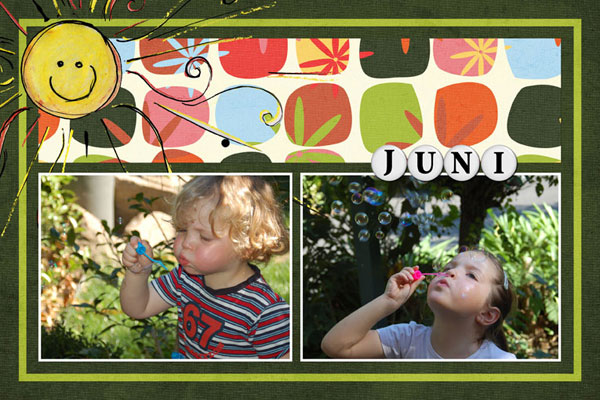 calendar 2009 june