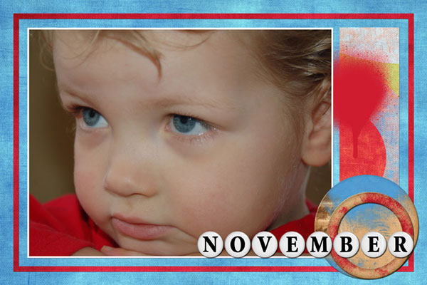 calendar 2009 november