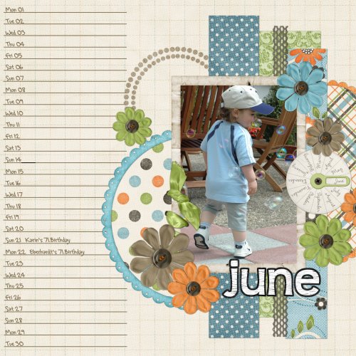 Calendar june 2009