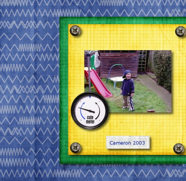 Cameron 2003
