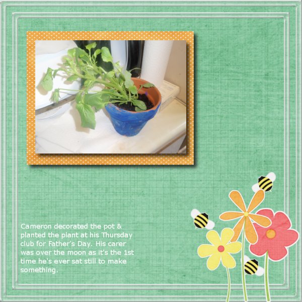 Cameron's Plant