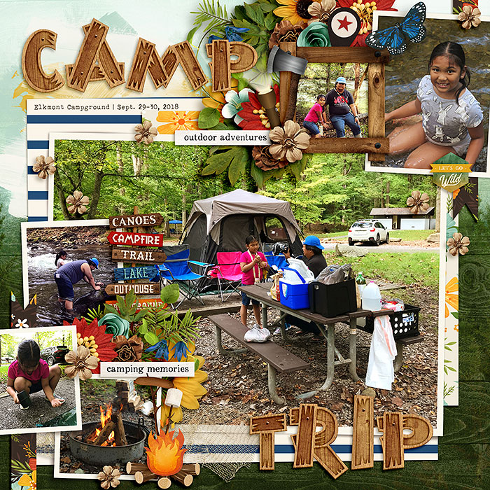 Camp Trip