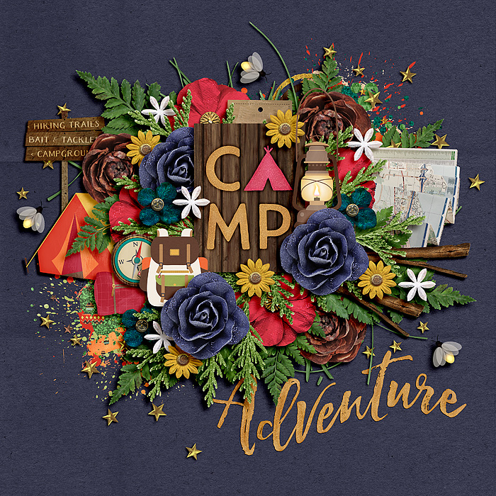 Camp