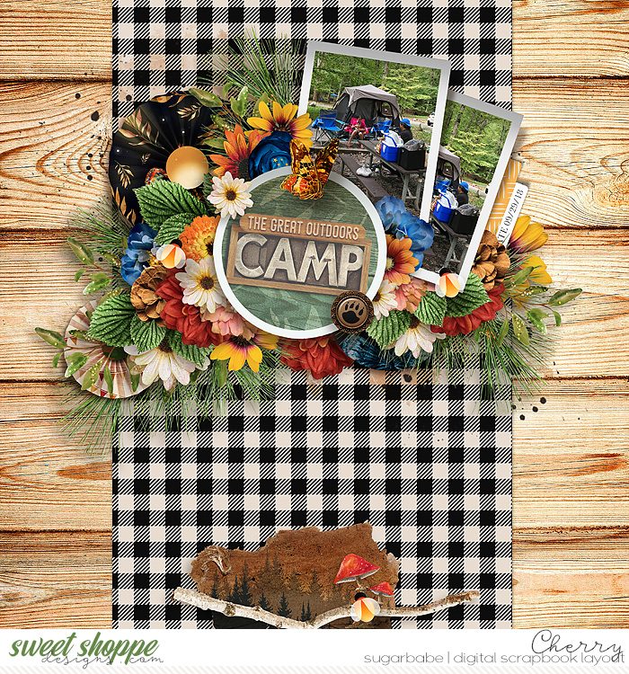 Camp