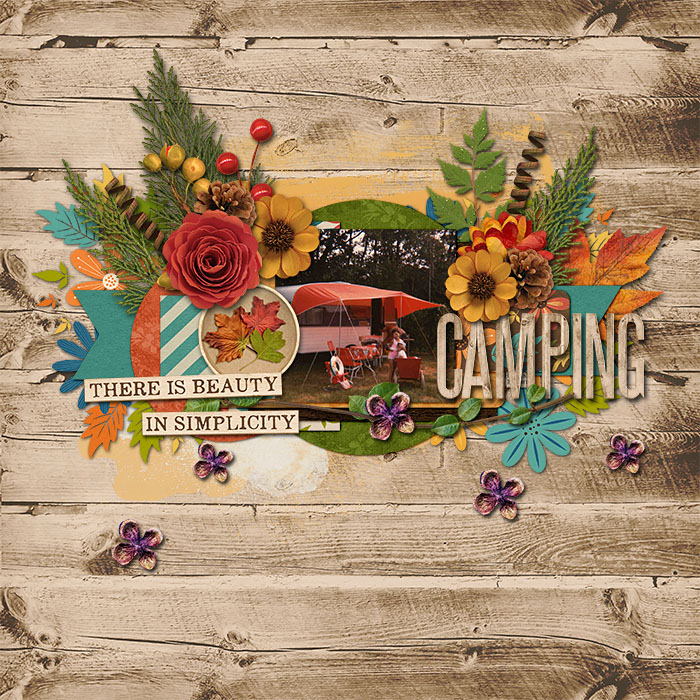 Camping