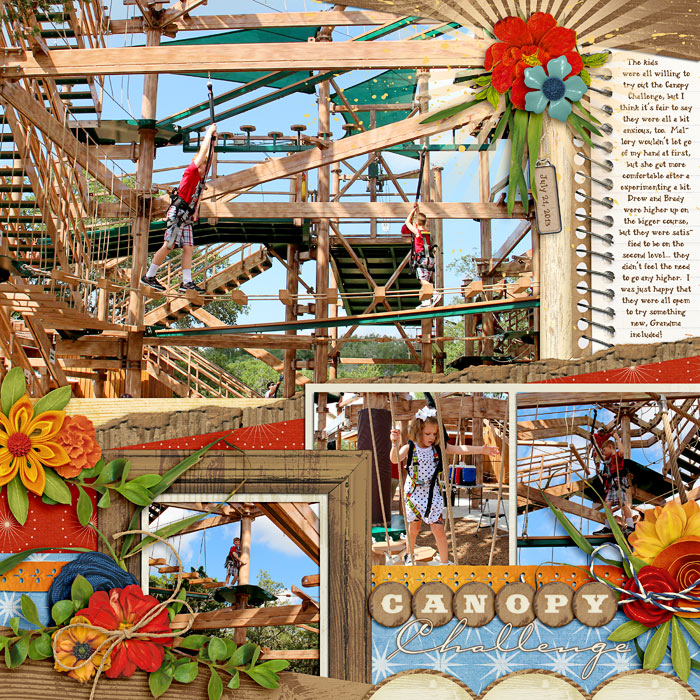 Canopy Challenge
