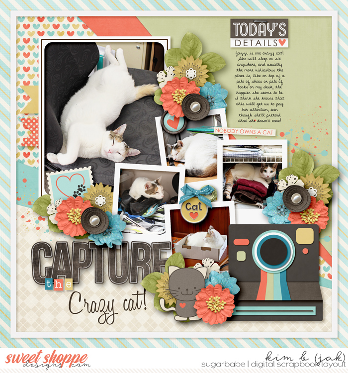 Capture the Crazy Cat
