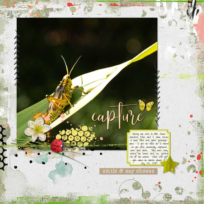 Capture