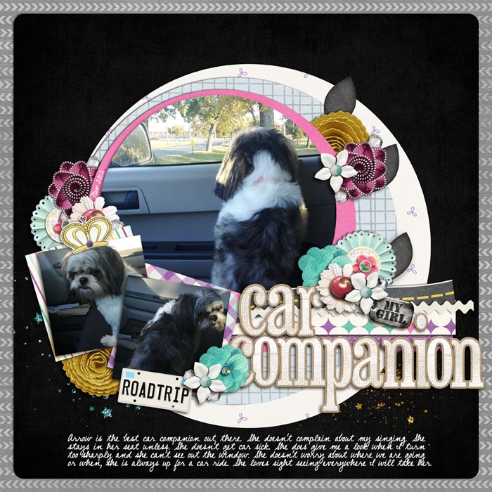 car companion