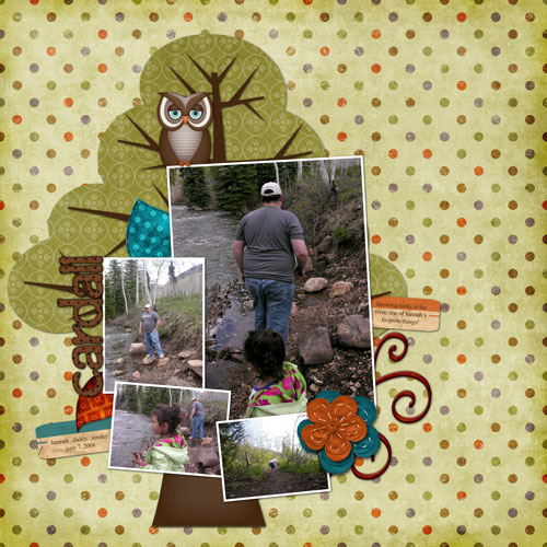 {cardall cabin} throwing rocks