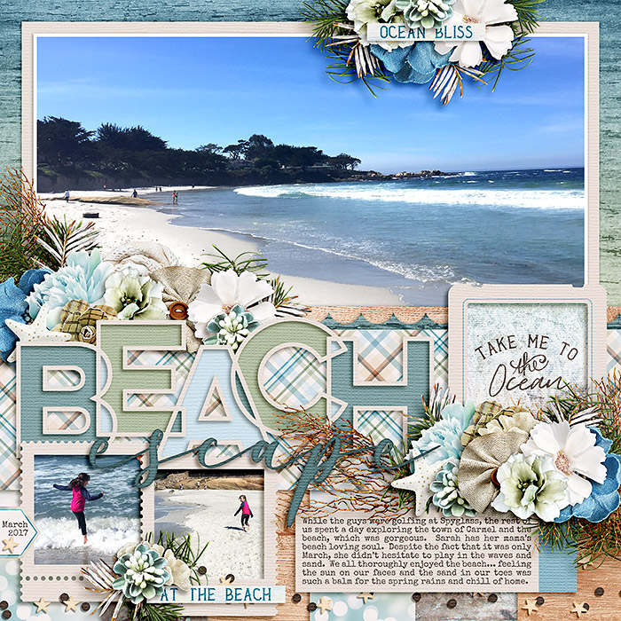 Carmel Beach 1