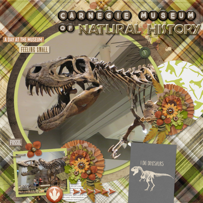 Carnegie Museum of Natural History