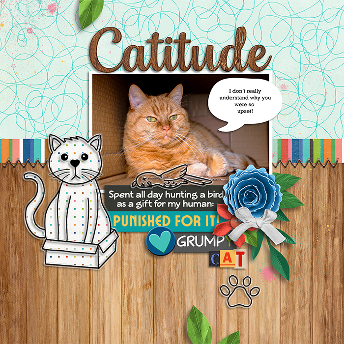 Cat Gift