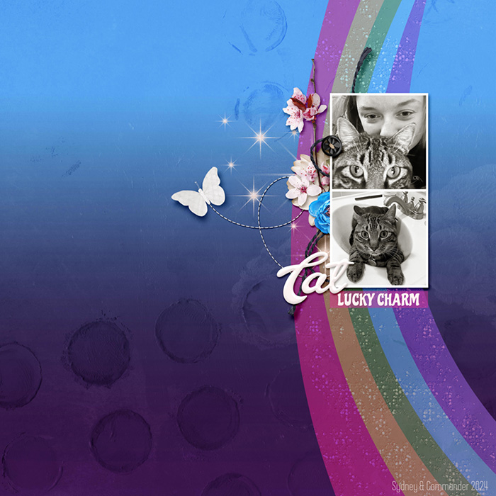 Cat: Lucky Charm