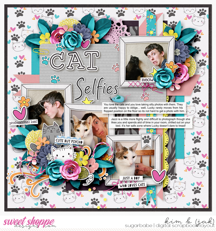 Cat Selfies